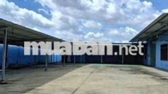🏭 CHO THUÊ KHO XƯỞNG TẠI NINH XÁ, THANH TRÌ – DIỆN TÍCH 1200M² 🏭