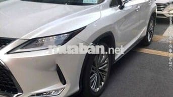 Lexus RX 2020 300 - 37000 km
