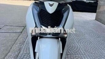 sh 2019-chính chủ từ mới