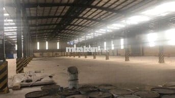 Cho thuê kho 1.800m2, xe container , Hồ Học Lãm , Quận 8, giá : 70k/m2