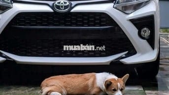 xe Toyota Wigo 1.2AT 2020