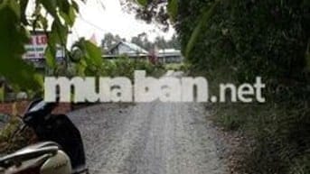 Đất thổ cư mặt tiền đường ô tô 1 sẹc QL N2