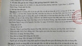 CÔNG TY ĐẤU GIÁ HỢP DANH SỐ 1 QUỐC GIA THÔNG BÁO BÁN ĐẤU GIÁ TÀI SẢN 