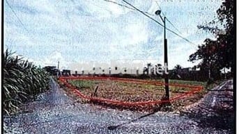 Bán ĐGTS đất tại xã Hậu Nghĩa, tỉnh Tây Ninh