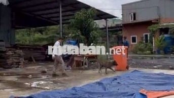 Kho đẹp cần cho thuê gấp ở Huỳnh Tấn Phát diện tích 800m2 có pccc