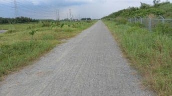 Chính chủ cần bán 376m2 đất lúa mặt tiền 48m tại Nhơn Trạch, Đồng Nai.
