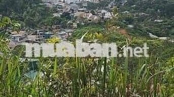 CẦN BÁN GẤP ĐẤT NN SỔ HỒNG RIÊNG HẺM OTO TP ĐÀ LẠT