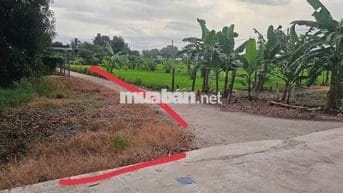 CỤC THỔ NỀN CAO GIÁ RÊ CÓ NHÀ TIỀN CHẾ