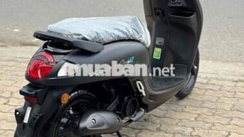 Scoopy Thái New 100%