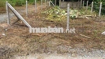 116m2 có thổ cư, gần chợ Phước Thạnh. Hơn 200tr. Tin nổi không