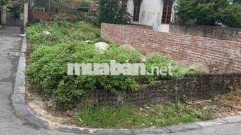 ĐẤT Ô TÔ VÀO - CÁCH CẦU TỨ LIÊN 1KM, ĐẦU TƯ SINH LỜI CAO