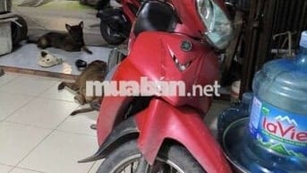 Nhà chật t.ly sirius thái