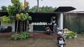 Trục chính đường Lạc Hồng 34m ô tô tránh