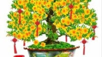 tranh gạch 3d tranh hoa mai - SCX644