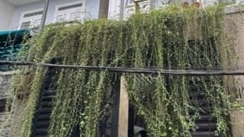 Bán Nhà Bùi Đình Tuý p.12. Quận Bình Thạnh, Ngang: 4.30x13m giá 9,5tỷ