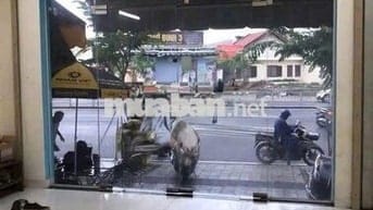 Cho Thuê Nhà Mặt Tiền Dương Quảng Hàm, P5, Quận Gò Vấp 5x20m