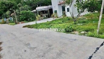 tôi cần bán 3000m2 có 200m2 thổ cư. 360 triệu