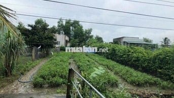 375 mét Đất Full Thổ Cư Đường 5 Mênh Xã Phước Hậu CG Long An