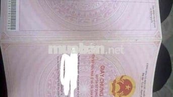 🏡 BÁN ĐẤT TẶNG NHÀ MẶT TIỀN ĐƯỜNG MỸ AN, SÁT CÔNG VIÊN AN DƯƠNG VƯƠNG