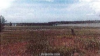 Bán ĐGTS đất tại Thửa đất số: 97, xã Đất Đỏ, TP. Hồ Chí Minh