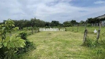 🔥 NGỘP THỞ CHỦ GỬI BÁN GẤP – LÔ ĐẤT SIÊU ĐẸP, XÃ THÁI MỸ, CỦ CHI 🔥