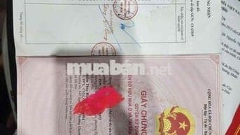 Bán CCMN 3ngủ 2wc Sổ Hồng Từng Căn- Giáp Nhất,