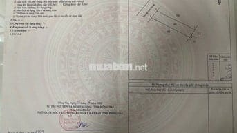 🏡 CHÍNH CHỦ CẦN BÁN ĐẤT - ĐƯỜNG HÙNG VƯƠNG