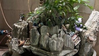 Cần bán hòn non bộ ………………………….