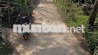 Điện Phương, Điện Bàn. Đà Nẵng. Chấp giá toàn khụ vực 700 triệu, 154m²