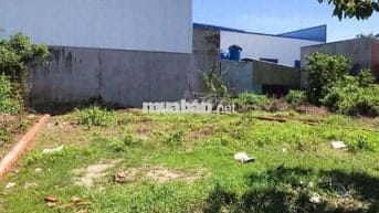 Đất đẹp giá rẻ 1tỷ đường Tân Thới Nhì 1 - Tân Thới Nhì - Hóc Môn 101m2