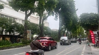 Giảng Võ, hiếm nhà 7 tầng bán, 5m ngang, ô tô vào nhà, phân lô, No QH