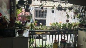 Gia đình chính chủ cần bán nhà Tập thể