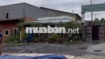 Cho thuê kho xưởng Q7 - diện tích 760m2