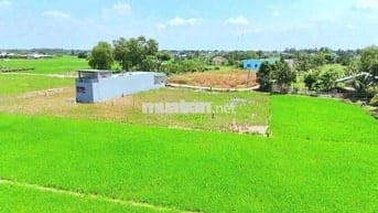 970m2 đất thổ cư đường xe tải Cầu Quay chỉ 950tr