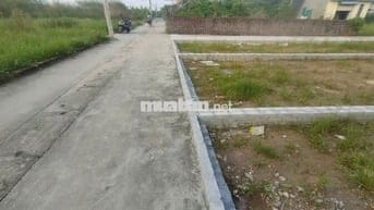 BÁN ĐẤT ẤP TRE, XÃ QUANG MINH - ÔTÔ VÀO ĐẤT, 100% THỔ CƯ(chỉ 2.6tỷ/lô)