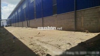 Cho thuê kho xưởng 10.000m2,mới đẹp tại Bến Lức Long An , PCCC tự động
