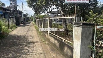 ĐẤT NỀN XUÂN PHÚ - SỔ RIÊNG, THỔ CƯ