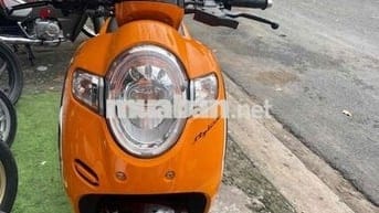 coopy xe zin chuẩn keng bs 65