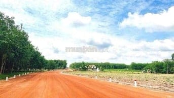 CHÍNH CHỦ CẦN BÁN GẤP 260m2 + 100 THỔ CƯ NGAY KCN CHƠN THÀNH
