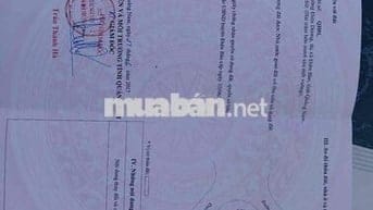 Chủ Cần Bán Lô Góc 2MT Tổng Diện tích 471m2 ngang 17m