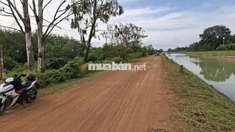 1.2 mẫu, mặt tiền kênh Đông, ngay KCN. 150TR (1m)