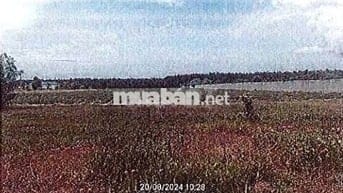 Bán ĐGTS đất tại Thửa đất số: 97, xã Đất Đỏ, TP. Hồ Chí Minh