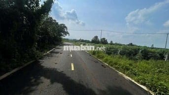 Bán Đất 3 lô liền kề Xây nhà trọ ngay cổng sau khu công nghiệp Đất đỏ