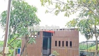 Nhà vườn Bình Mỹ - Củ Chi : 500m2 - SHR - 2 mặt tiền . Giá 2 tỷ