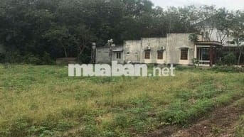 Chủ gửi lô 547m2 mặt tiền đường huyện rộng 32m