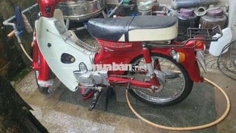 Cup én có đề 50cc