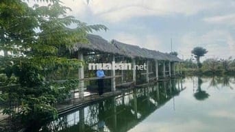 Cần bán gấp lô Đất Cần Giờ- An Thới Đông