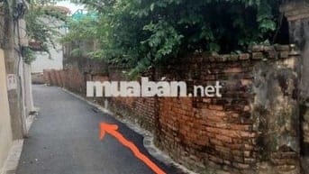 Chính chủ đăng bán 120m đất Hội Phụ, Đông Anh