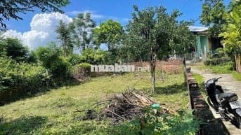 🏡 CHÍNH CHỦ CẦN BÁN NHANH LÔ ĐẤT 2 MẶT KIỆT – THÔN GÒ HÀ, HÒA TIẾN – Đ