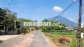 4435m2 đường nhựa, view Núi. Dân đông. 2,8 tỷ